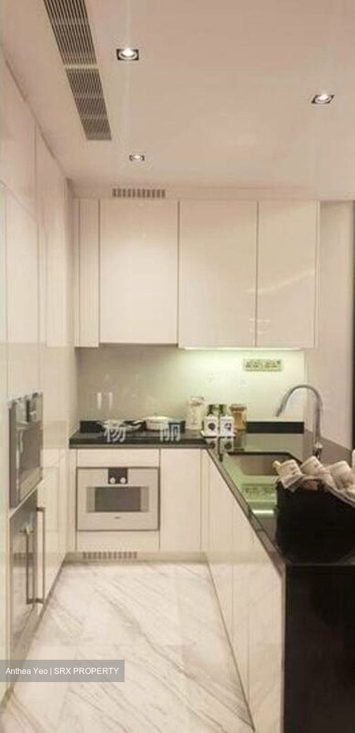 Wallich Residence  (D2), Condominium #503757081